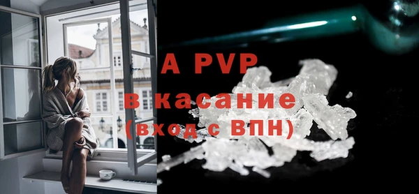 PSILOCYBIN Балахна
